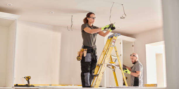 Best Generator Installation Services  in Christopher, IL